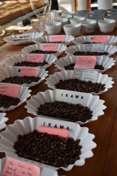 La Terza Artisan Coffee Roasterie