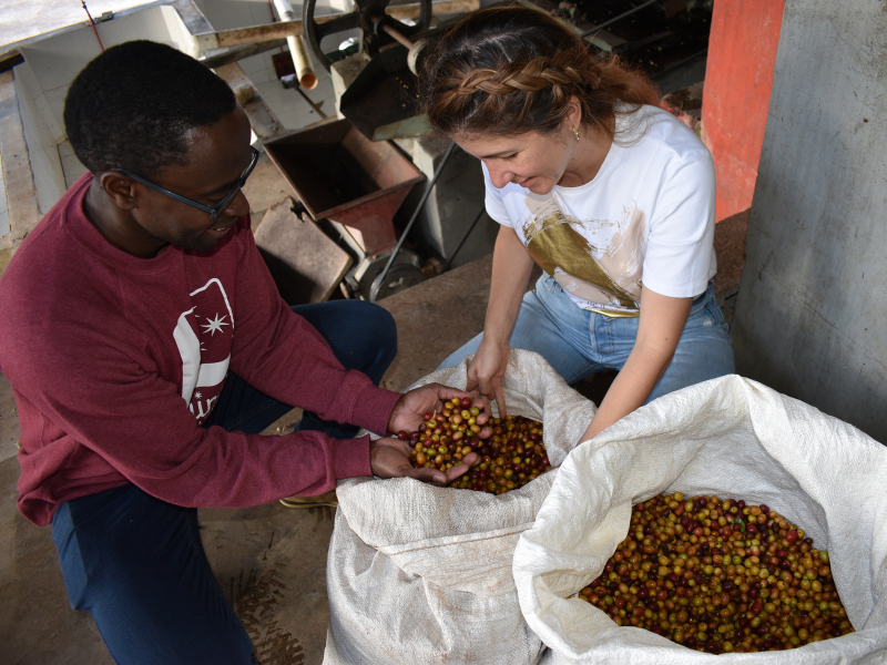 La Terza Artisan Coffee Roasterie