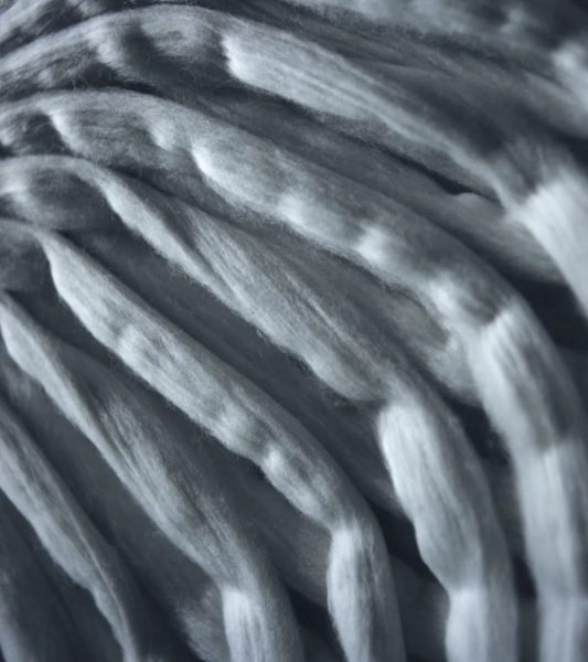 WARP + WEFT